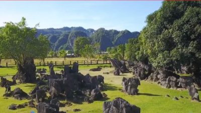 Geopark Maros-Pangkep Bersiap Ikuti Revalidasi UNESCO