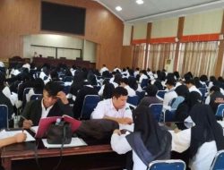 Honorer Maros Antusias Sambut Perpanjangan Pengisian DRH PPPK