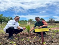 Serentak di Maros, Kanwil Ditjenpas Sulsel Tanam Puluhan Ribu Pohon Kelapa