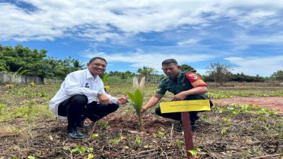 Serentak di Maros, Kanwil Ditjenpas Sulsel Tanam Puluhan Ribu Pohon Kelapa