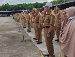 90 Honorer Maros Belum Diangkat PPPK, Pemkab Pastikan Tak Ada Rekrutmen 2026