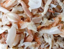 Dosen Unhas Umma Olah Limbah Cangkang Kepiting
