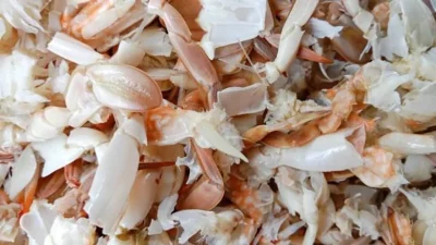 Dosen Unhas Umma Olah Limbah Cangkang Kepiting