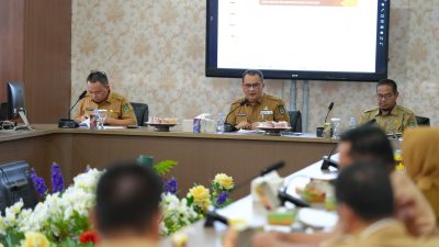 1.700 Hektare Sawah di Maros Beralih Fungsi dalam 6 Tahun, Mayoritas Ditimbun Jadi Perumahan